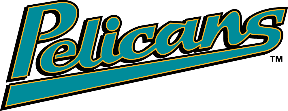 Myrtle Beach Pelicans 1999-2006 Jersey Logo iron on transfers for clothing
